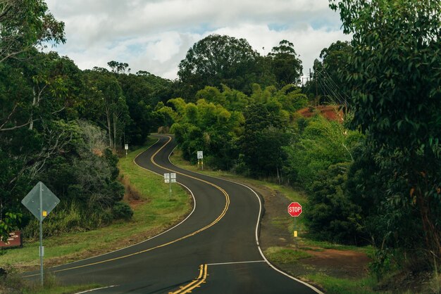 Zdjęcie piękna droga przez naturę kauai hawaii