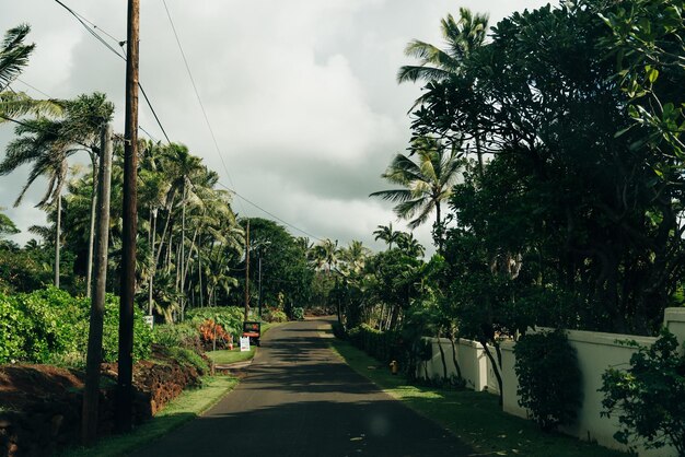 Piękna droga przez naturę Kauai Hawaii