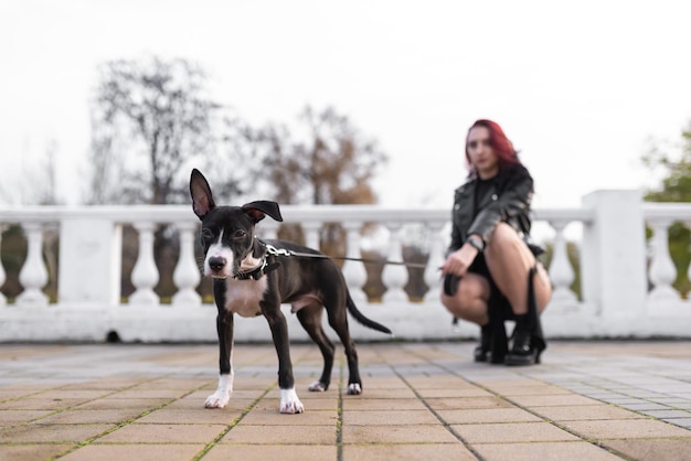 Piękna dziewczyna o bordowych włosach iw eleganckiej sukience ze słodkim szczeniakiem na smyczy Skupienie na psie Mieszanka psów Staffordshire Terrier i Pit Bull Terrier