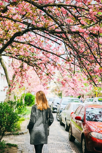 Piękna dziewczyna w pobliżu drzew sakura. Kobieta w sukience i stylowym płaszczu Różowe kwiaty kwitnące w Użhorodzie. Rozkwitaj wokół. Wiosna. Koncepcja relaksu i szczęścia.