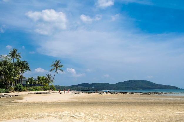 Piękna egzotyczna plaża w prowincji Krabi w Tajlandii