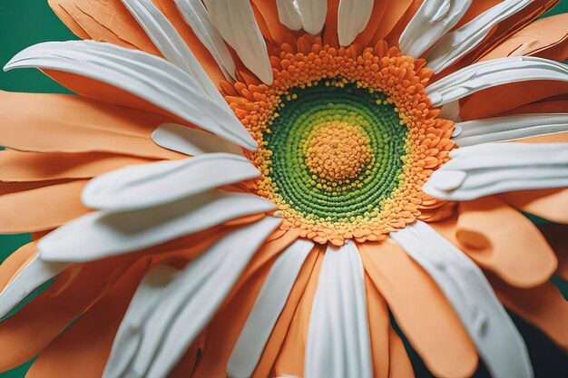 Zdjęcie piękna flora gerbera kwiat fauny