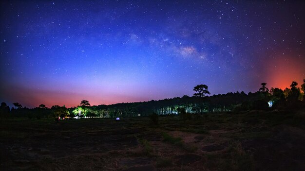 Piękna galaktyka Drogi Mlecznej na nocnym niebie i sylwetce drzewa