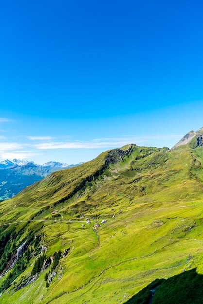 Piękna góra Alp w Grindelwald w Szwajcarii