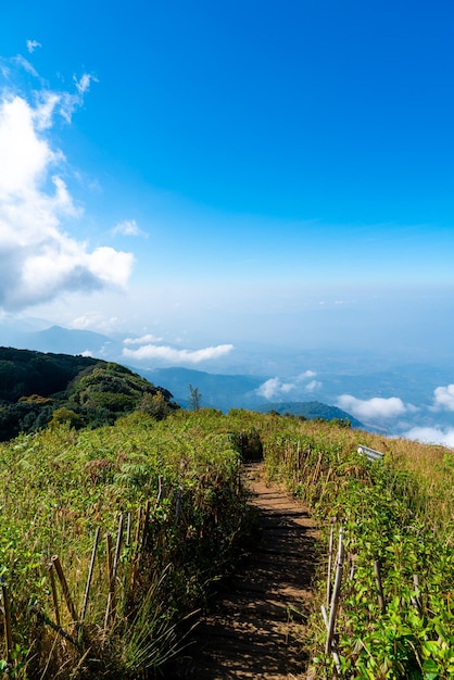 piękna górska warstwa z chmurami i błękitnym niebem na Kew Mae Pan Nature Trail w Chiang Mai w Tajlandii