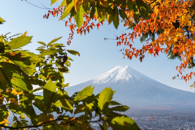 Piękna Jesienna Scena Góry Fuji-san W świątyni Arakura Sengen W Japonii