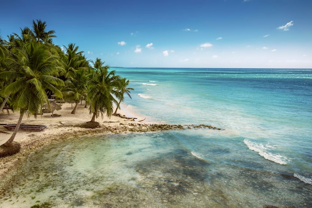 Piękna karaibska plaża na wyspie Saona Dominikana Widok z lotu ptaka na tropikalny idylliczny letni krajobraz z zielonymi palmami wybrzeże morza i białym piaskiem