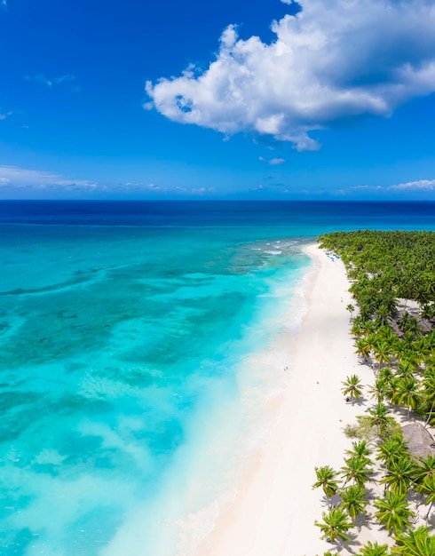Piękna karaibska plaża na wyspie Saona, Dominikana. Widok z lotu ptaka na tropikalny idylliczny letni krajobraz z zielonymi palmami, wybrzeżem morskim i białym piaskiem