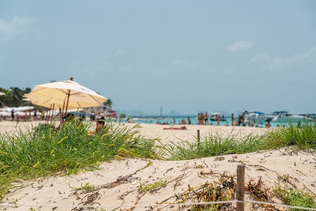 Piękna karaibska plaża playa norte lub północna plaża na isla mujeres w pobliżu cancun w meksyku?