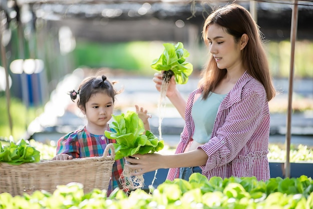 Piękna kobieta trzyma świeże warzywa z ogrodu szklarniowego na dachu i planuje farmę ekologiczną