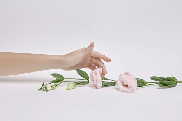 Piękna Kobieta Z Różowymi Kwiatami W Ręku. Naturalny Kosmetyk Do Pielęgnacji Skóry Dłoni. Nawilżenie Dłoni Oraz Zabieg Przeciwzmarszczkowy I Przeciwstarzeniowy