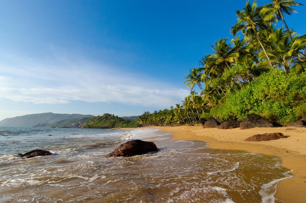 Piękna krajobrazowa plaża w Goa w Indiach
