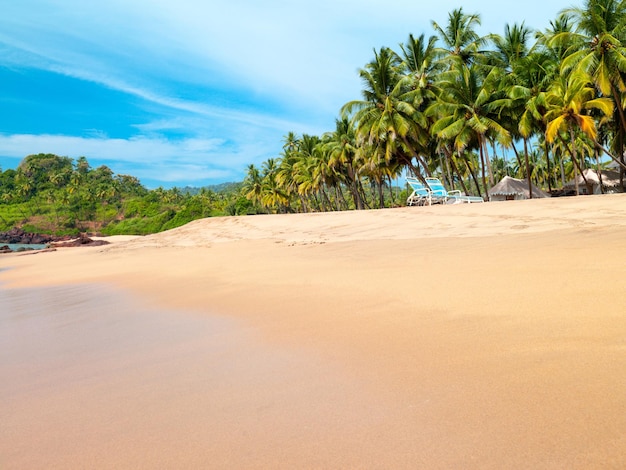 Piękna krajobrazowa plaża w Goa w Indiach