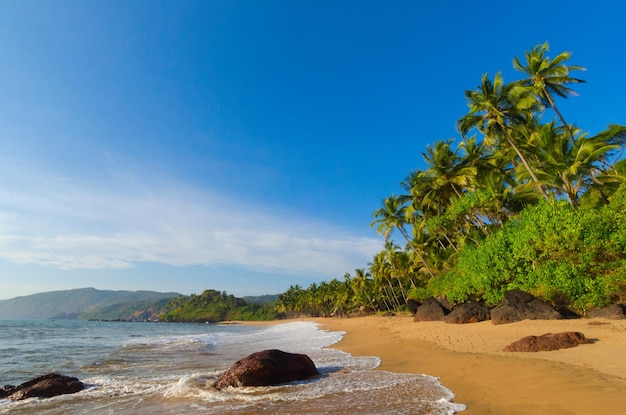 Piękna krajobrazowa plaża w Goa w Indiach