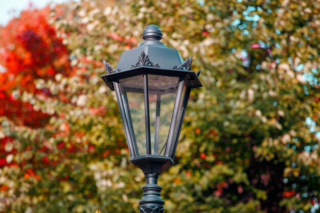 Piękna latarnia uliczna w parku jesienią. Zdjęcie wysokiej jakości