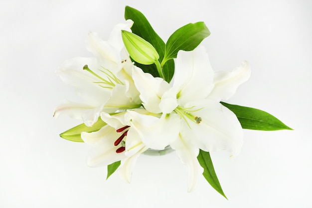 Piękna lilia w wazonie na białym tle