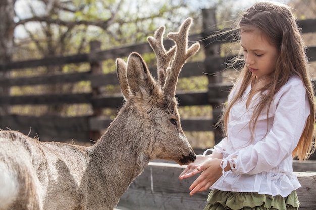 Zdjęcie piękna mała kobieta przytulanie zwierzęcego jelenia roe w słońcu