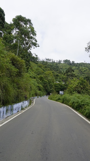 Zdjęcie piękna malownicza droga do wzgórz kodaikanal otoczona bujnymi skałami zielonej góry