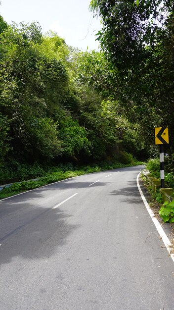 Zdjęcie piękna malownicza droga do wzgórz kodaikanal otoczona bujnymi zielonymi drzewami