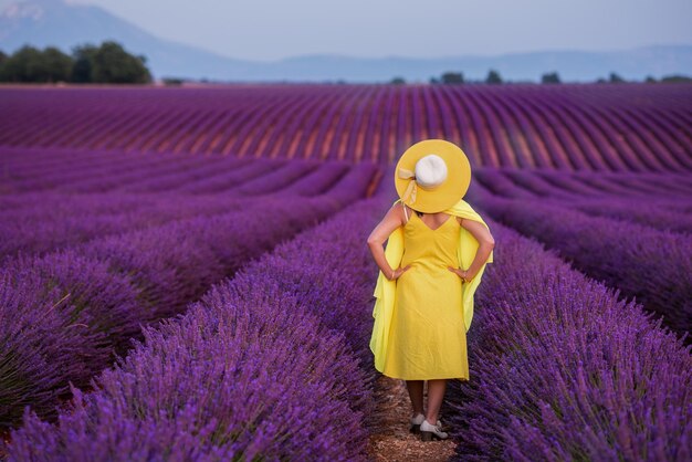piękna młoda azjatycka kobieta w żółtej sukience i kapeluszu relaksująca się i bawiąca się na polu lawendy fioletowy kwiat