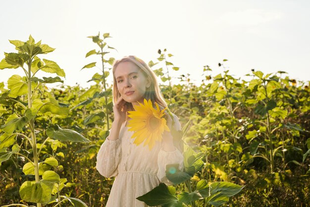 Piękna młoda blond kobieta w białej wiejskiej sukience stojąca przed kamerą na tle słonecznika i patrząca na jeden z żółtych kwiatów