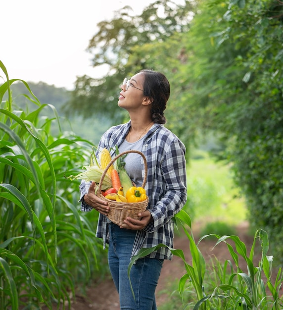 Piękna młoda brunetka Portret kobiety Farmer ręka trzyma warzywa w bambusowym koszu na zielono