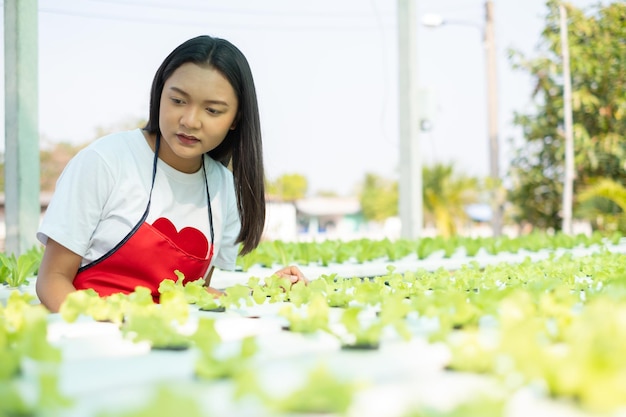 Piękna młoda dziewczyna pracuje w uprawie hydroponicznych warzyw organicznych małych sałat.