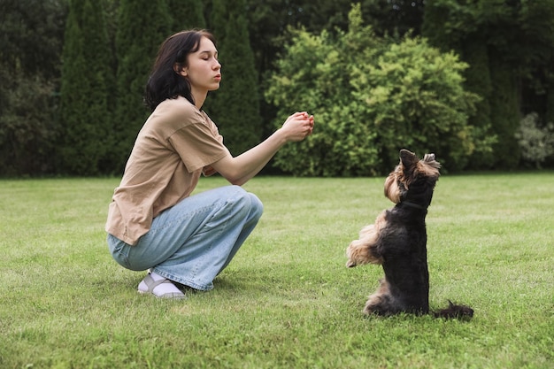 Piękna młoda dziewczyna z psem na ulicy Yorkshire Terrier Dziewczyna na spacerze z puszystym przyjacielem