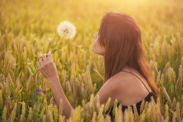 Piękna młoda kobieta dmucha dandelion w pszenicznym polu w lato zmierzchu.
