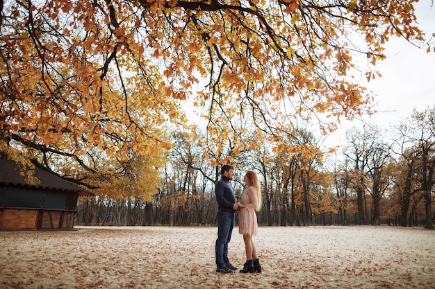 Piękna Młoda para zakochanych, uśmiechając się radośnie na tle żółtych liści na drzewach