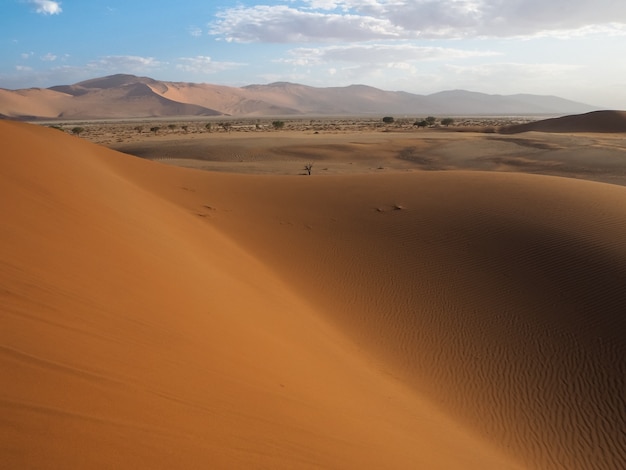 Piękna naturalna ośniedziała czerwona piasek diuna i solankowa niecka szeroki pustynia krajobraz, Namibia