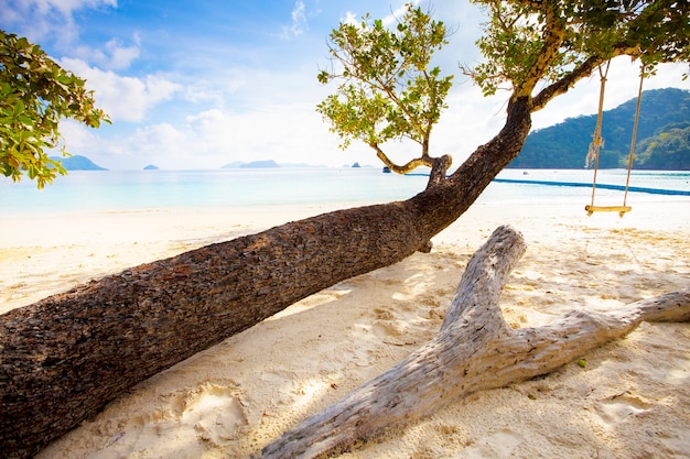 Piękna naturalna scena tropikalnej wyspy i plaży morskiej