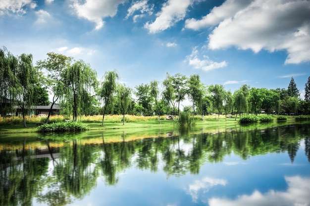 Piękna Naturalna Sceneria W Słoneczny Dzień