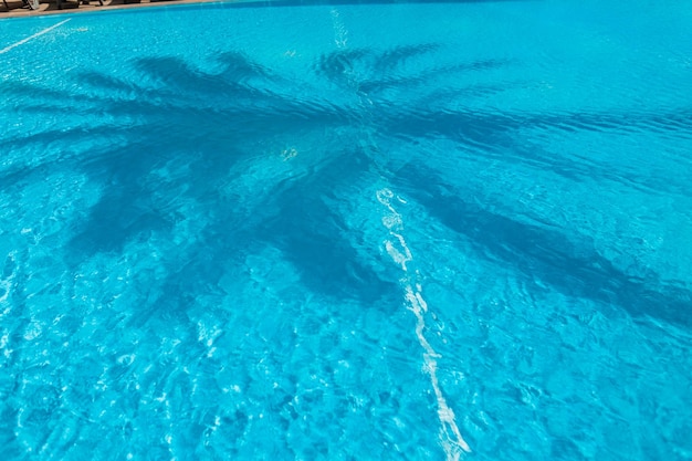 Piękna niebieska woda w basenie i cień palmy Koncepcja wakacji letnich