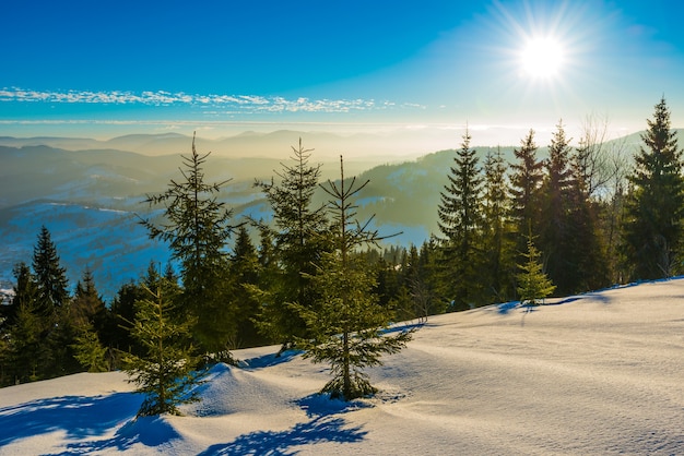 Piękna panorama ośnieżonego stoku z lasem i widokiem na ośnieżone pasma górskie