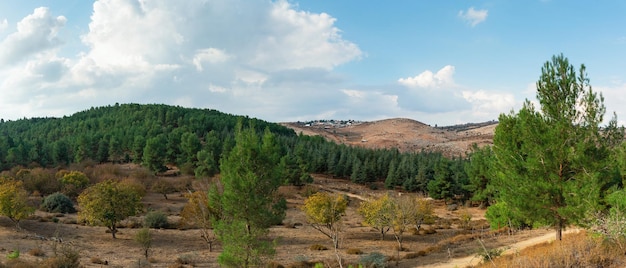 Piękna panorama przyrody w północnym Izraelu