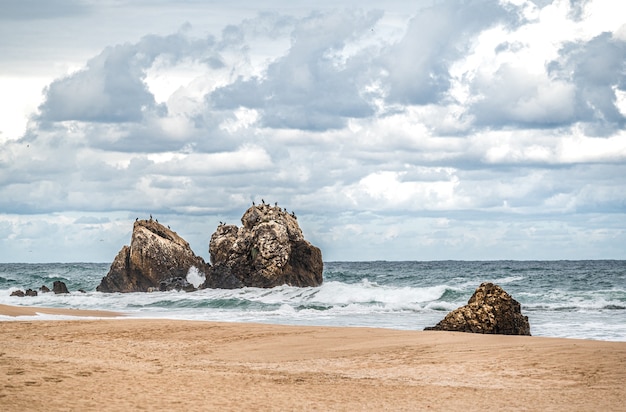 Piękna piaszczysta plaża oceaniczna z dużymi skałami na brzegu iw wodzie. Potężne fale na oceanie. Plusk wody oceanu na skalnej plaży z chropowatymi klifami. Pawia Plaża