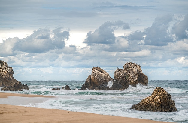 Piękna piaszczysta plaża oceaniczna z dużymi skałami na brzegu iw wodzie. Potężne fale na oceanie. Plusk wody oceanu na skalnej plaży z chropowatymi klifami. Pawia Plaża