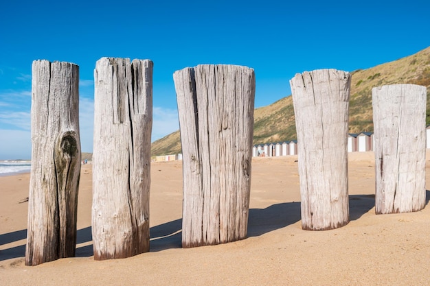 Piękna piaszczysta plaża w Domburgu w Holandii