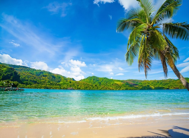 Piękna plaża i morze z palmą ai generowane