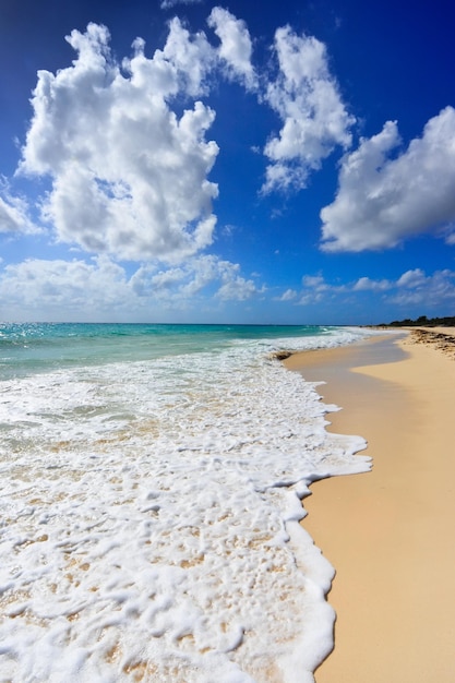 Piękna plaża i morze