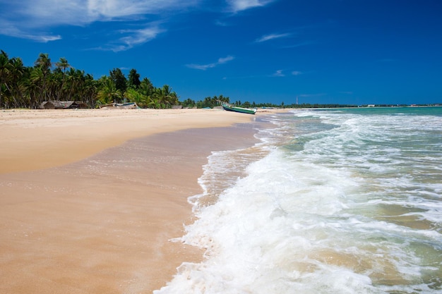 Piękna plaża i tropikalne morze?