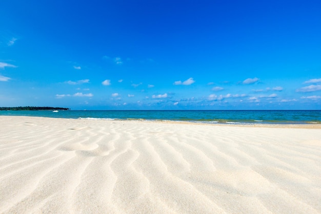 piękna plaża i tropikalne morze