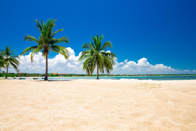 piękna plaża i tropikalne morze