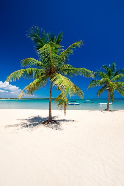 piękna plaża i tropikalne morze