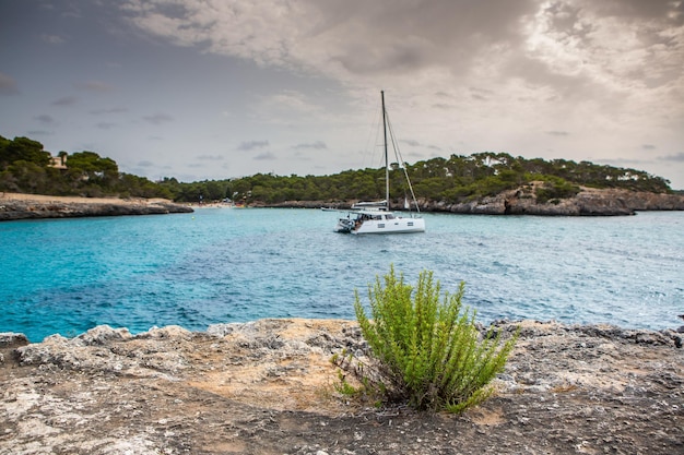 Piękna plaża krajobraz egzotyczna tropikalna wyspa natura błękitna woda morska fale oceanu na Majorce