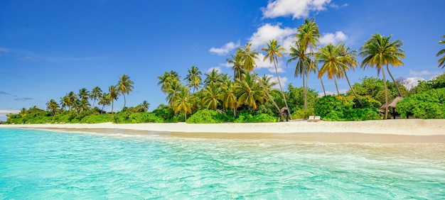 Piękna plaża na wyspie. Tropikalny krajobraz egzotycznego, malowniczego lata, białego piasku, palm, morskiej zatoki