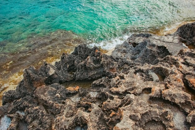 Piękna plaża w naturze