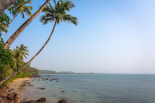 Piękna plaża Widok ładnej tropikalnej plaży z palmami wokół Koncepcja wakacji i wakacji Tropikalna plaża