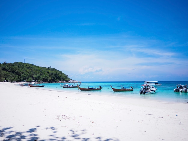 Piękna plaża z białym piaskiem i jaskrawym kolorowym niebieskim niebem na Koh Lipe, Tajlandzkim